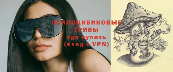 ECSTASY Алексеевка