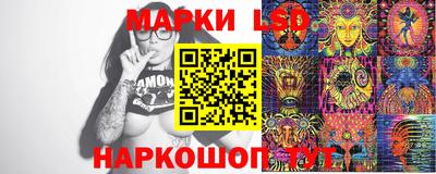 гашик Донецк