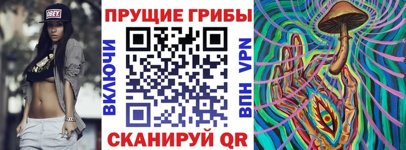 omg ТОР  Минусинск  Псилоцибиновые грибы Psilocybe 